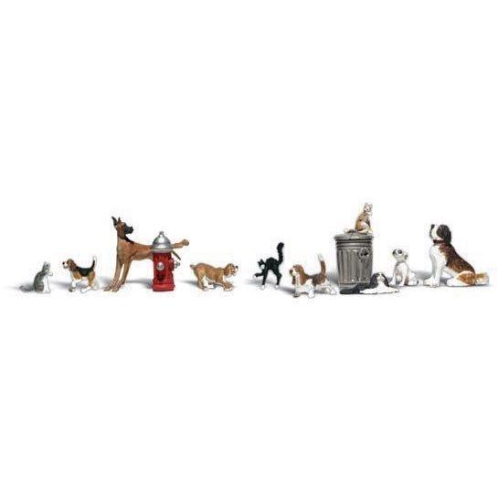 A2725 O Dogs & Cats