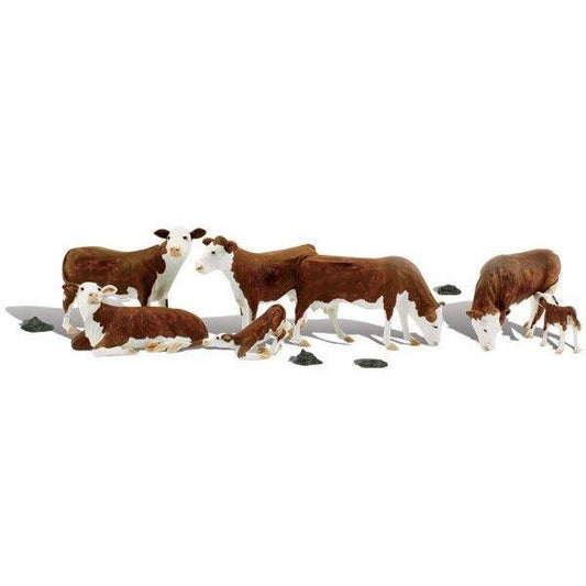 A2767 O Hereford Cows