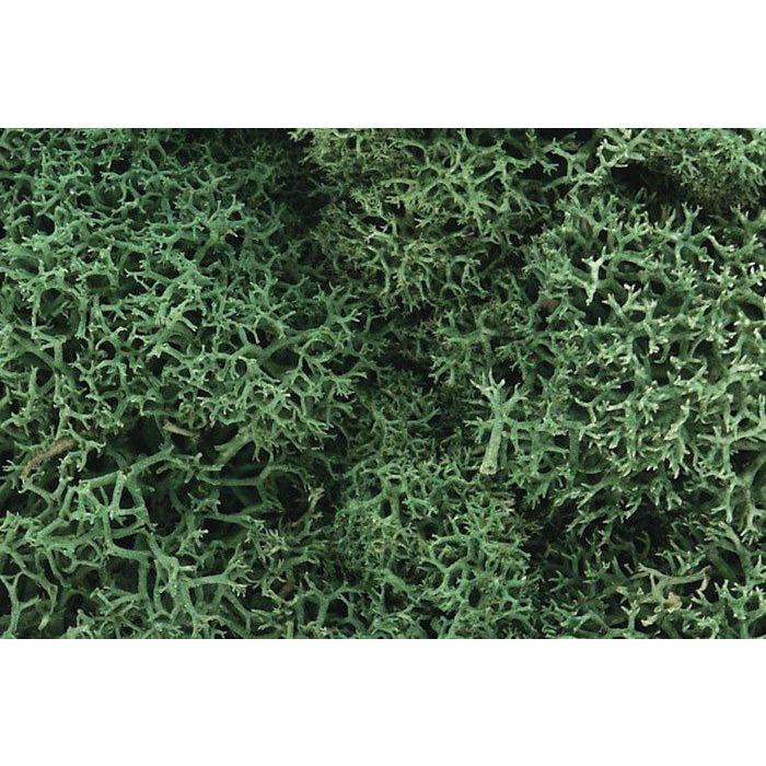 62 Lichen Bag, Light Green/82 cu. in.