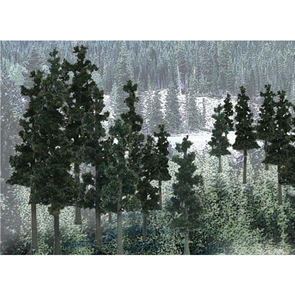 TR1580 Value Trees, Conifer 2.25-4" (33)