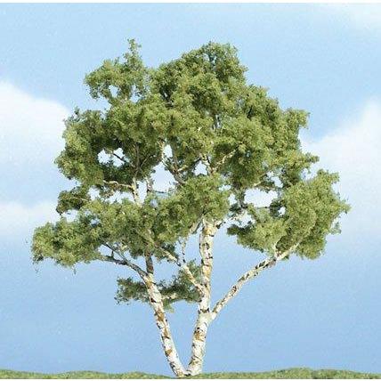 TR1601 Premium Birch Tree, 4"