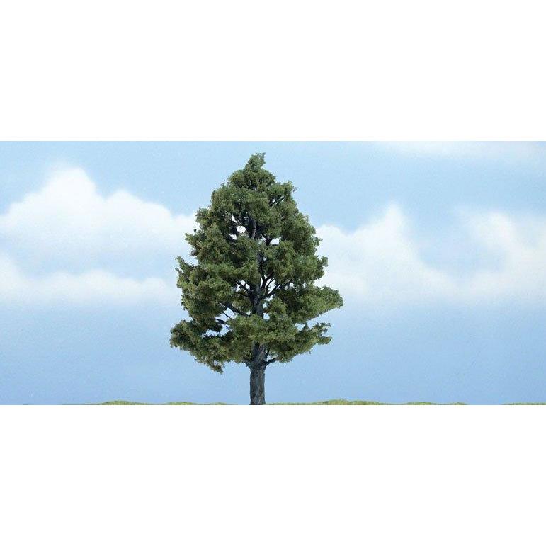 TR1608 Premium Sweetgum Tree, 4"