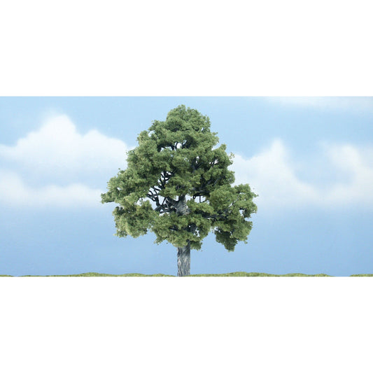 TR1615 Premium Beech Tree, 4"