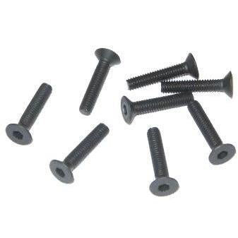 81220-10 CSH screw 4*20 8pcs
