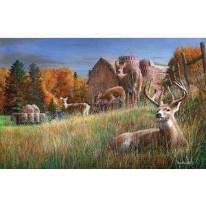 Autumn Respite - 1000 pieces