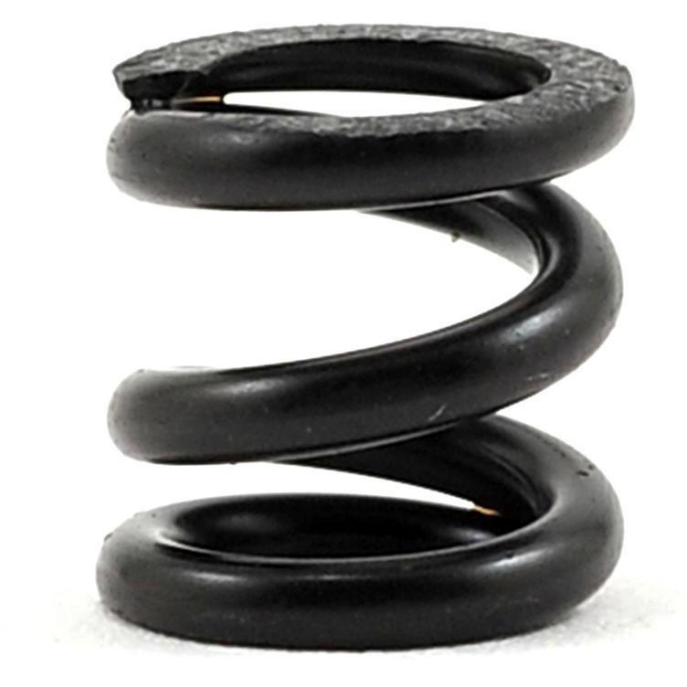 SWorkz Slipper Clutch Spring