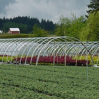 CF-20     S624 20' Wide Cold Frame