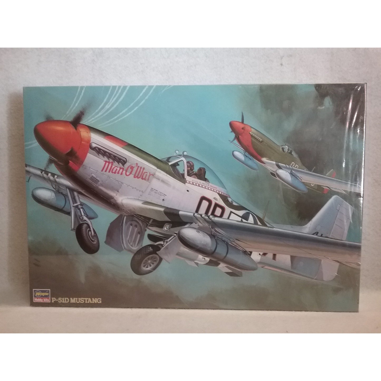 1/32 Scale Hasegawa P-51D Mustang