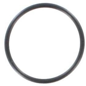 23107101 O-ring for Backplate OS .21 Engine