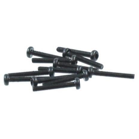69596 Plum Blossom Washer Head Screw  2.5*17mm