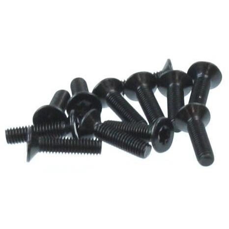 69602 Plum Blossom Countersunk Screw 3*12mm