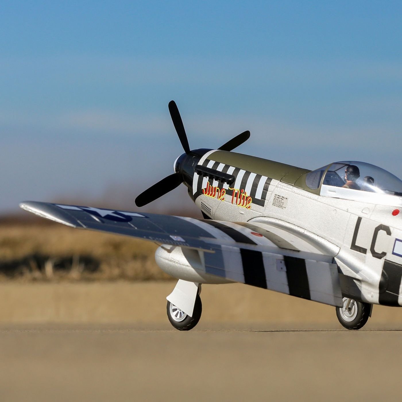 EFL8975 P-51D Mustang 1.2m PNP