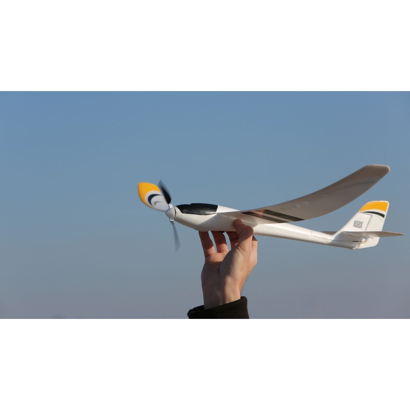 EFLU2980 UMX Radian BNF