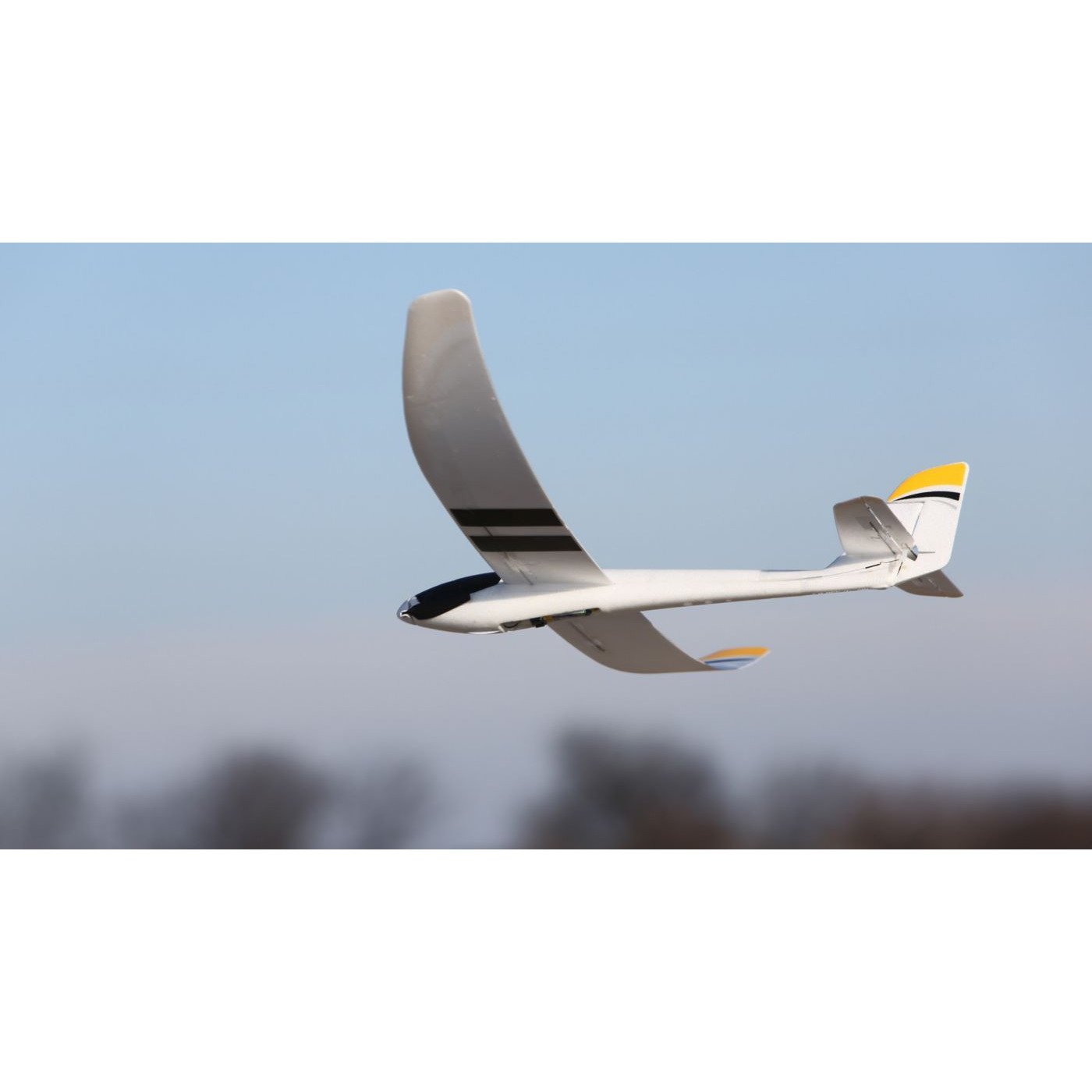 EFLU2980 UMX Radian BNF