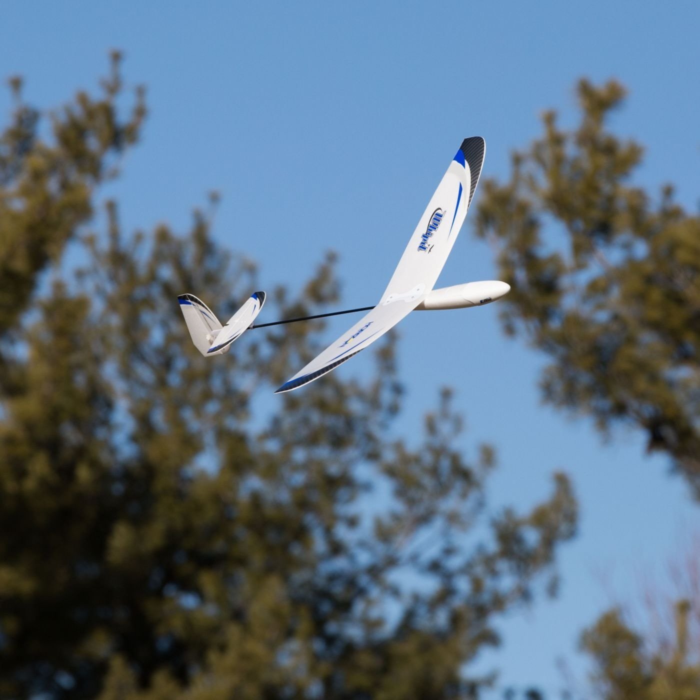 EFLU3150 UMX Whipit DLG BNF Basic