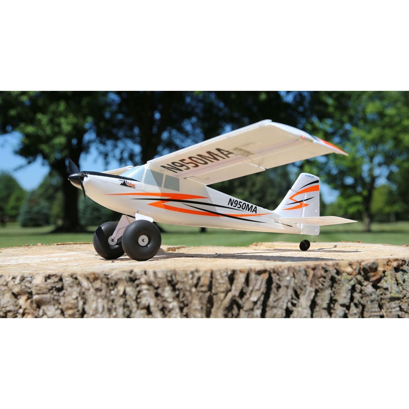 EFLU3950 UMX Timber BNF Basic