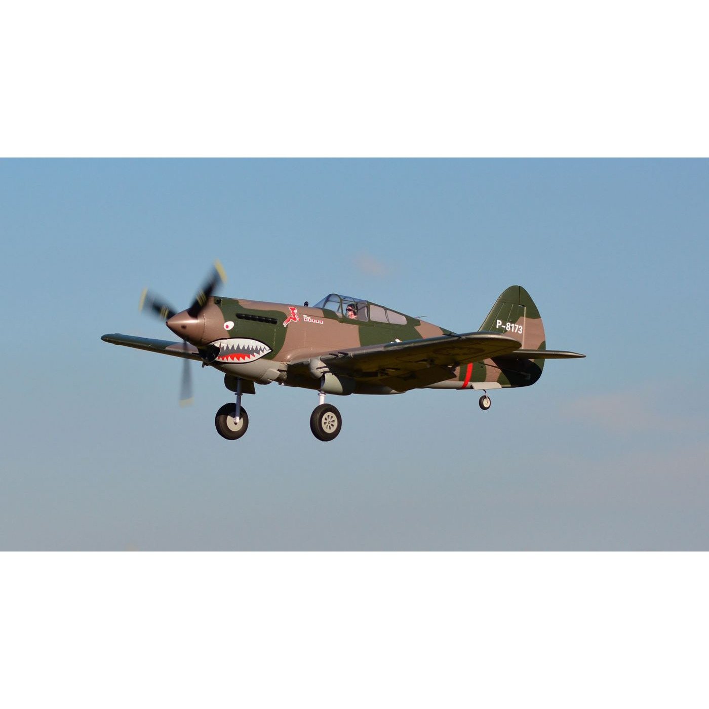 FMM075P P-40B, Flying Tiger, PNP, 980mm