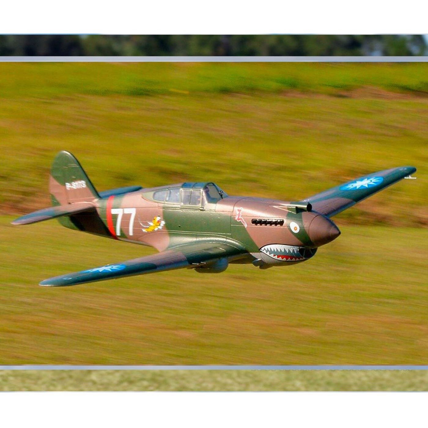 FMM081P P-40B, PNP, 1400mm