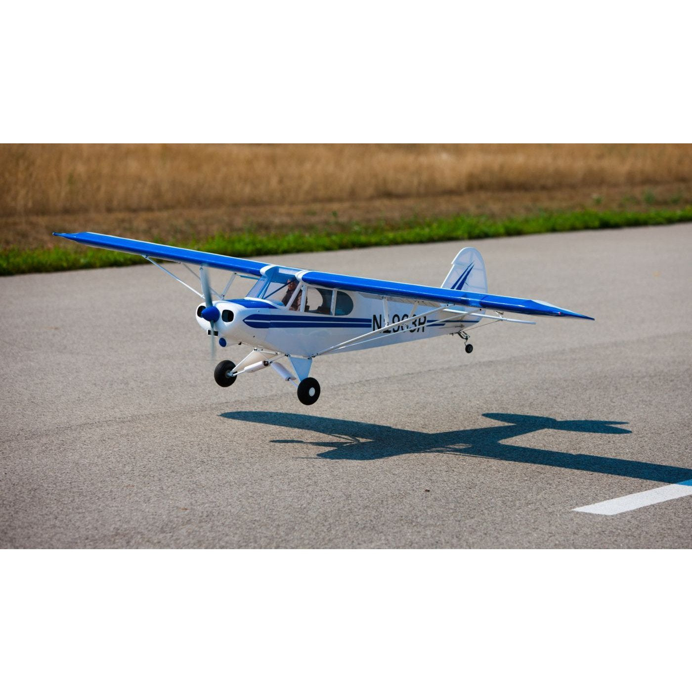 HAN4540 1/4-Scale PA-18 Super Cub ARF