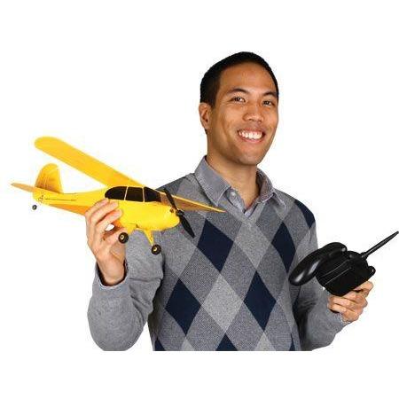 HBZ4900 Champ RTF