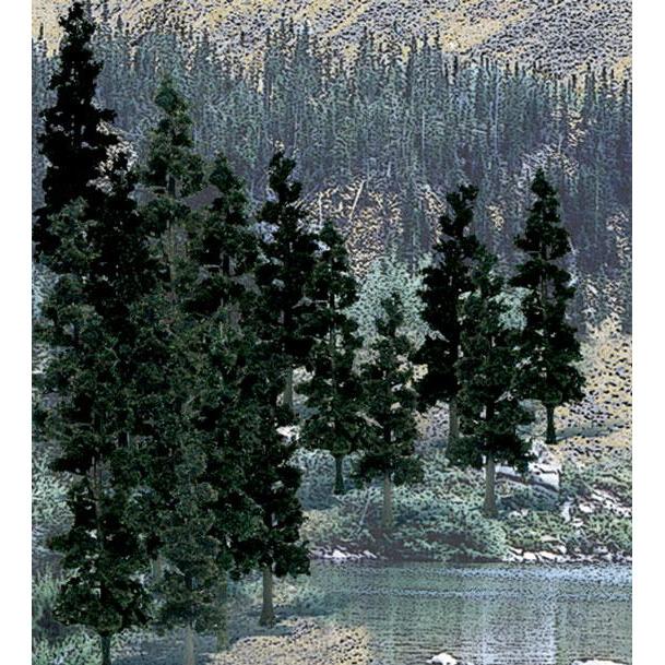 TR1581 Value Trees, Conifer 4-6" (24)