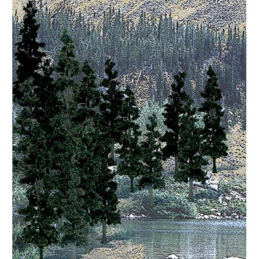 TR1581 Value Trees, Conifer 4-6" (24)
