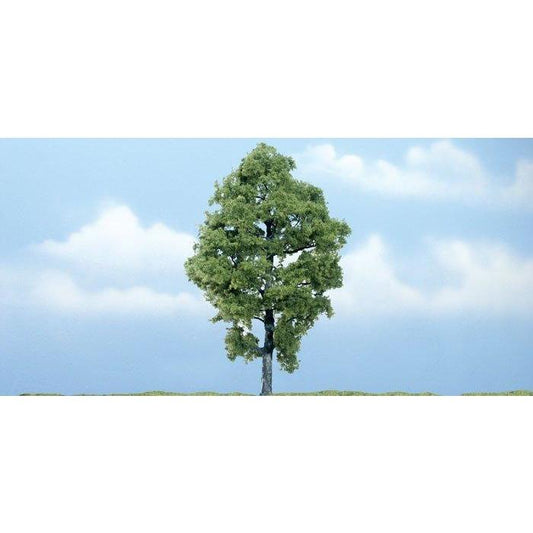 TR1623 Premium Hickory Tree, 5"