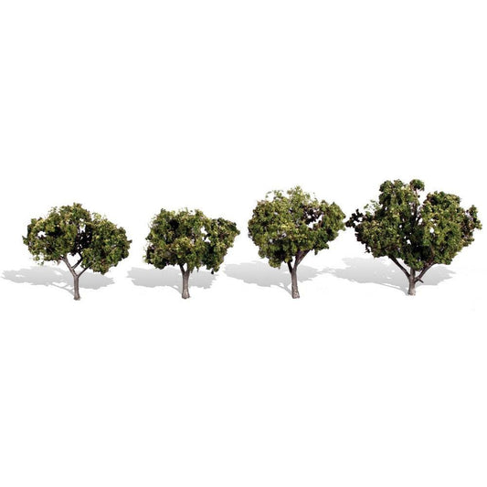 TR3504 Classics Tree, Sun Kissed 2-3" (4)