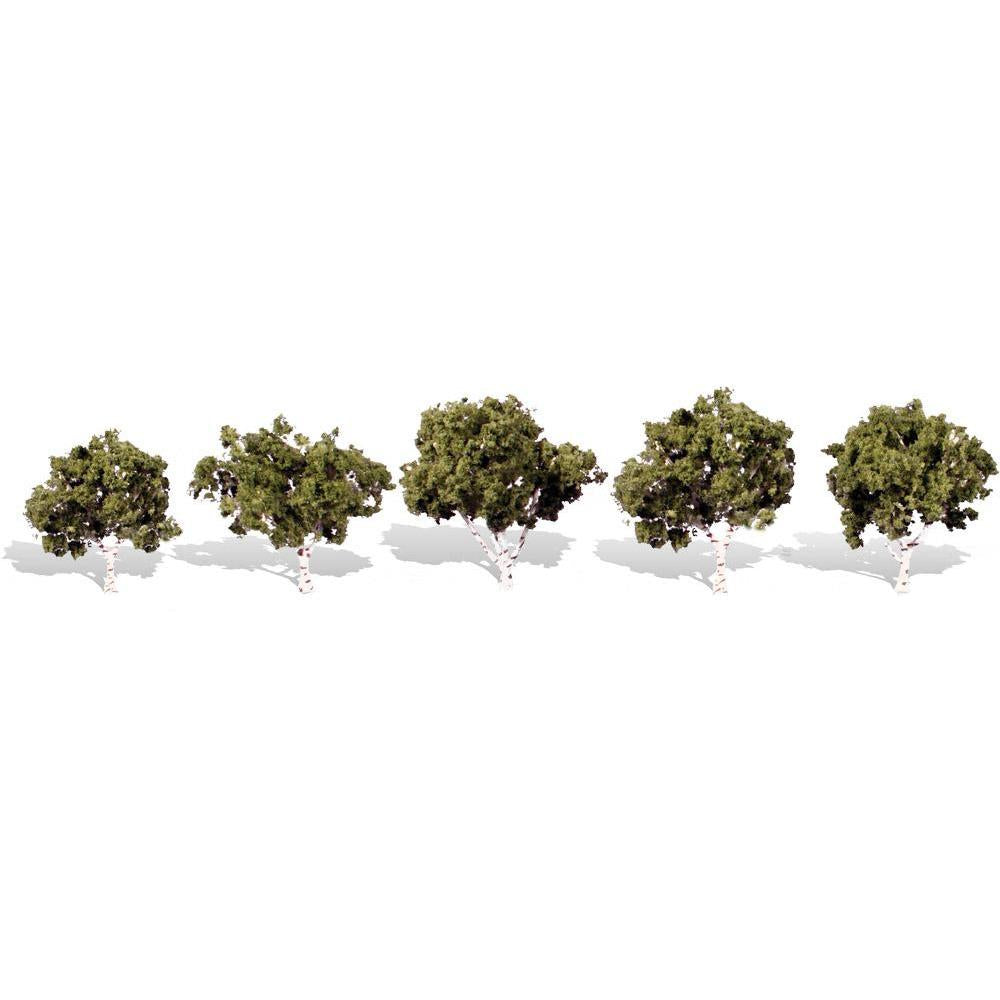 TR3532 Classics Tree, Waters Edge 1.25-2" (5)