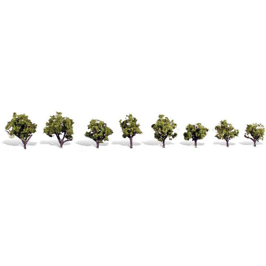 TR3545 Classics Tree, Early Light .75-1.25" (8)