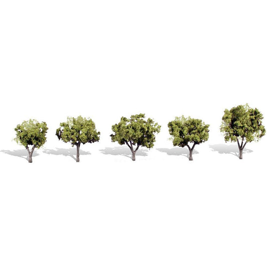 TR3546 Classics Tree, Early Light 1.25-2" (5)