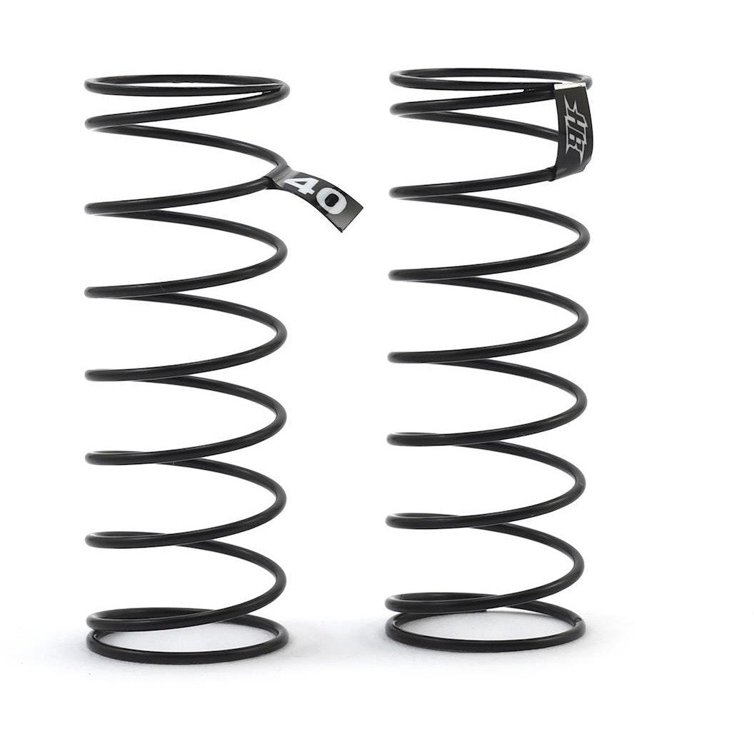HB Racing D418 Rear Spring Set (40)