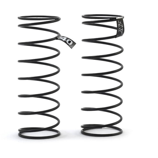 HB Racing D418 Rear Spring Set (40)
