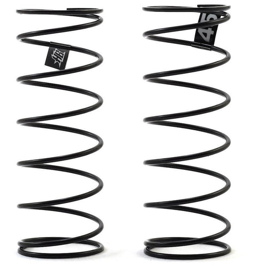 HB Racing D418 Rear Spring Set (45)